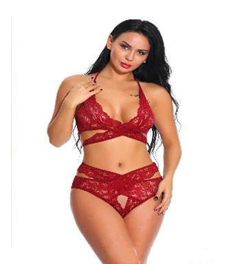 European And American Foreign Trade Sexy Lace Bra Set Sexy Underwear